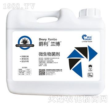 ΢�������-�����m��-����