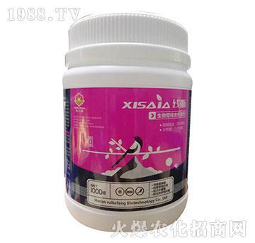 �����;�(xi��n)�x(ch��ng)̎�턩-��(xi��n)��-ϲ�ϼ�