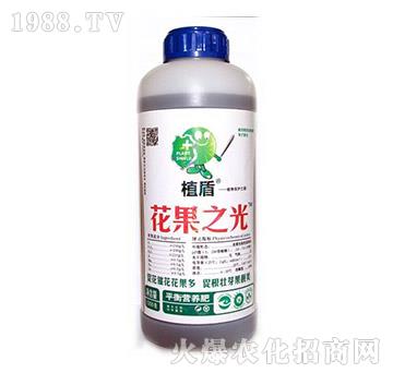 ����֮��-ֲ��-� �����