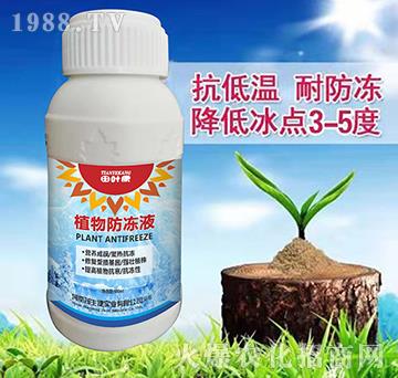 植物防凍液-田葉康