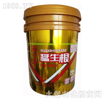 ΢�������-������-����S