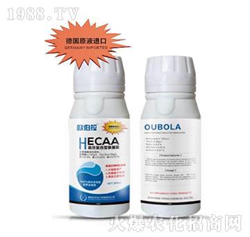 高效螯合型氨基酸含氨基酸液態(tài)肥-歐伯拉-億豐化工