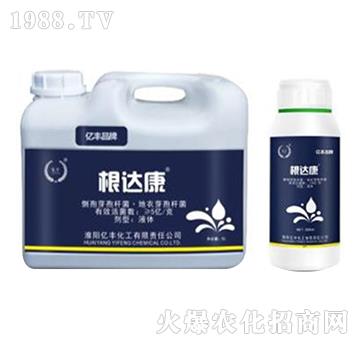 側(cè)孢芽子桿菌·地衣芽孢桿菌-根達康-億豐化工