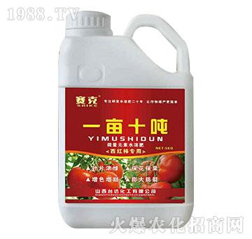 一畝十噸-賽克-臺(tái)達(dá)