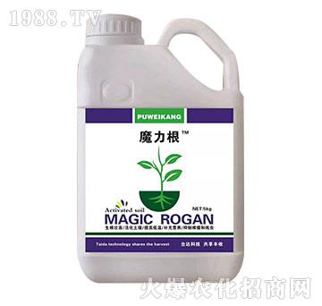 魔力根-臺(tái)達(dá)