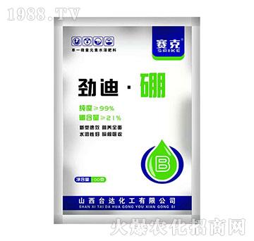 勁迪·硼-賽克-臺(tái)達(dá)