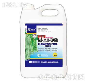 豆類拉長嫩直花莢飽-瀚樂爾
