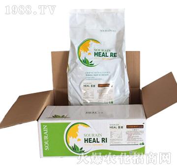 �t(y��)���������-����