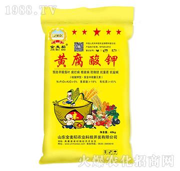 �S�����ЙC(j��)��-������