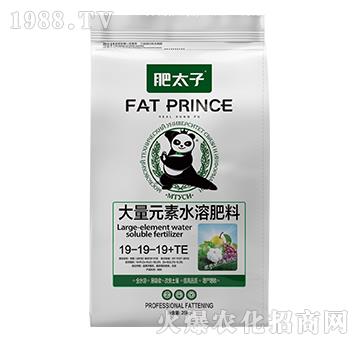 ����Ԫ��ˮ�ܷ���19-19-19+TE-��̫��