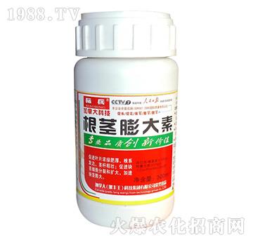 根莖膨大素-標(biāo)兵-漯豐王