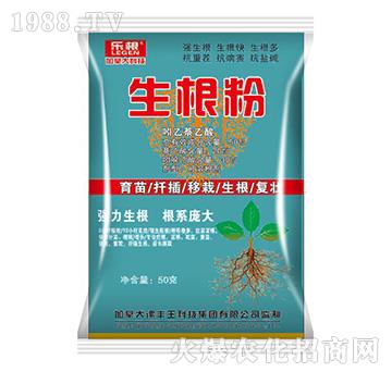 生根粉-樂根-漯豐王