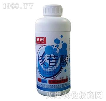 核苷酸-彩訊-漯豐王