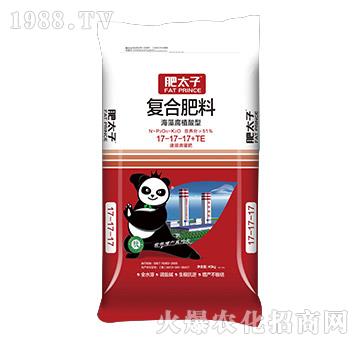 ���帯ֳ���͏�(f��)�Ϸ���17-17-17+TE-��̫��