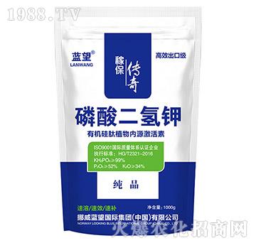 ��������-�{��