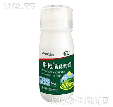 ���w�}�V-�ٚW-ζ������