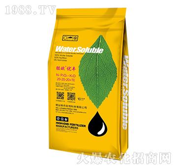 �ٚW��(y��u)�S20-20-20+TE-ζ������