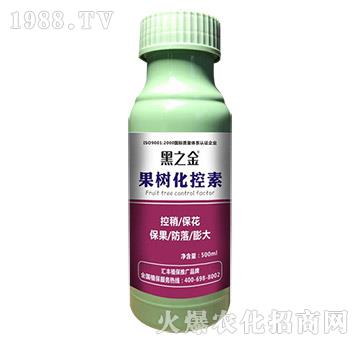 ���仯����-��֮��