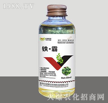 �F����-�R�Sֲ��