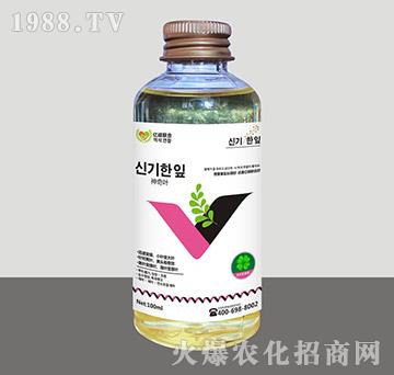 �����~-�R�Sֲ��