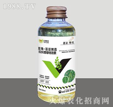 ���ǡ��|����ֱ���L���G��Ч��-�R�S