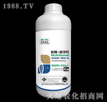 肽酶·懸浮鈣（1000g）-昊月信合