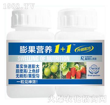 ����I(y��ng)�B(y��ng)1+1-������