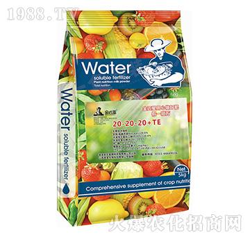 大量元素水溶肥料20-20-20+TE-金匠星