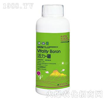 ��������-��(l��)��ʩ-�Θ�(l��)�ʘI(y��)