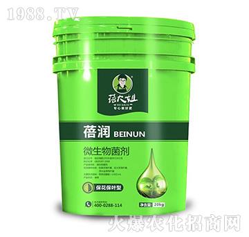 �������~��΢�������-�흙(r��n)-�����