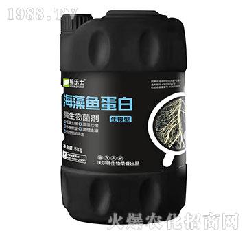 �����ͺ����~����-�ژ�(l��)ʿ