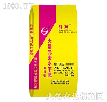 �ЙC�����Ԫ��ˮ�ܷ�20-20-20+TE-��ȷʘI(y��)