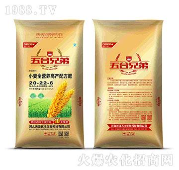 全營養(yǎng)小麥一次肥-沃澤五豐