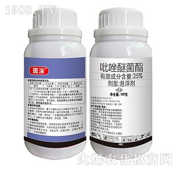 25%�����Ѿ���-��Ϳ-�|������