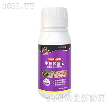 生根多薯寶-薯幫主-升華永樂