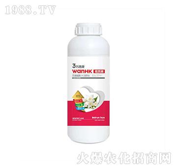 ��ؐ��(r��n)-�f(w��n)�ݿ�