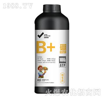 ��һ΢��Ԫ��-��-�б����r