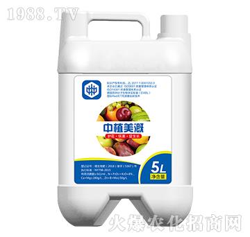 ��ֲ����-��ֲ(li��n)��