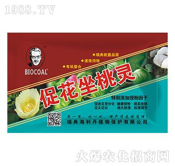 促花坐桃靈-海利丹