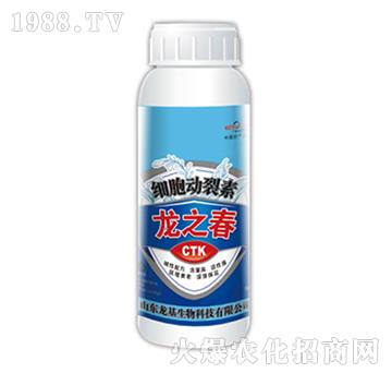 ����������-��֮��-��������