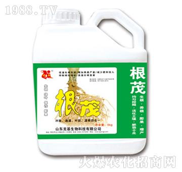 ��ï-��������