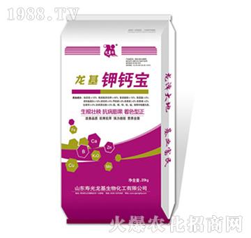 ������}��-��������