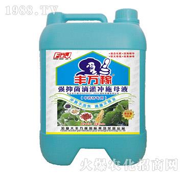 ��ˎ�Č�(zhu��n)�Ï�(qi��ng)�־��ι��_ʩĸҺ-�S�f(w��n)��