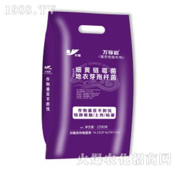 重茬根腐專(zhuān)用肥-萬(wàn)稼能-乾農(nóng)