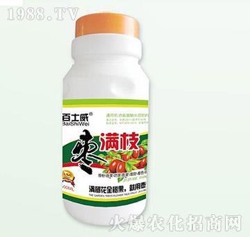 ���M֦-��ʿ��