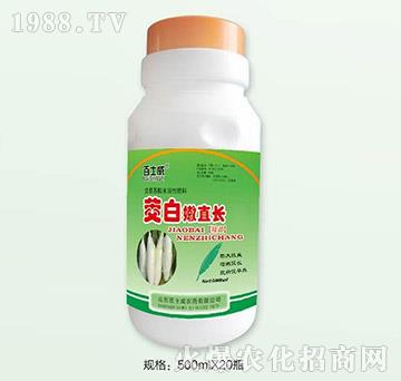 ������ֱ�L-��ʿ��