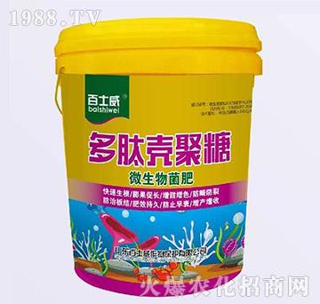 ���Ě�����-΢�������-��ʿ��