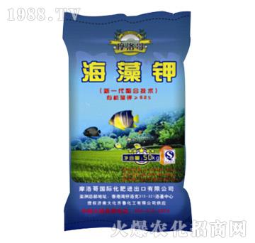 50kg海藻鉀-大化齊魯