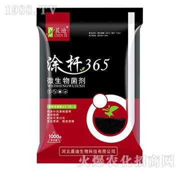 微生物菌劑-涂桿365-晨迪生物