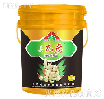 微生物菌劑-姜兀慮-中龍創(chuàng)